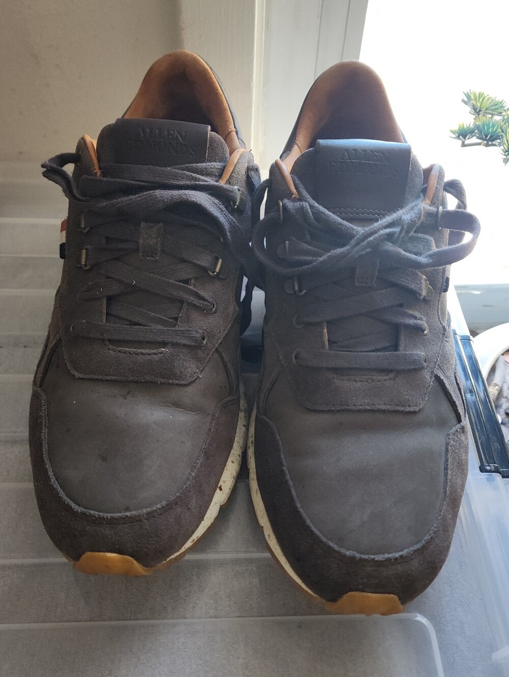 Allen Edmonds Men's Brown Suede Casual Sneakers